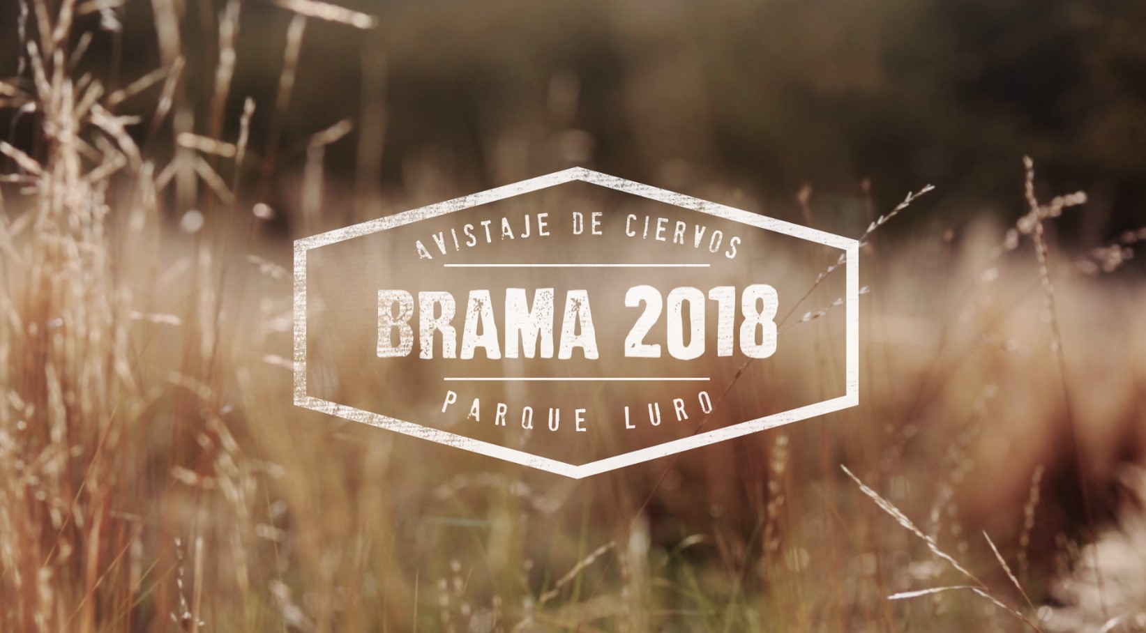 Video turístico Brama - producción audiovisual La Pampa